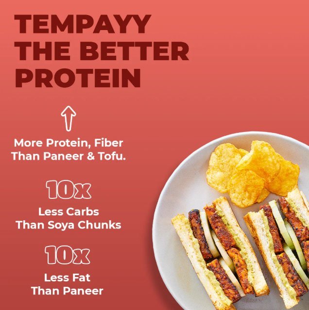 Tandoori Tempeh Thins - Image 3