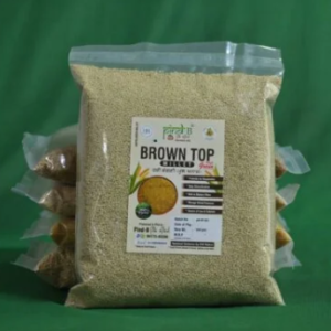 Browntop Millet