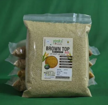 Browntop Millet